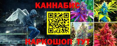 прущая мука Гай