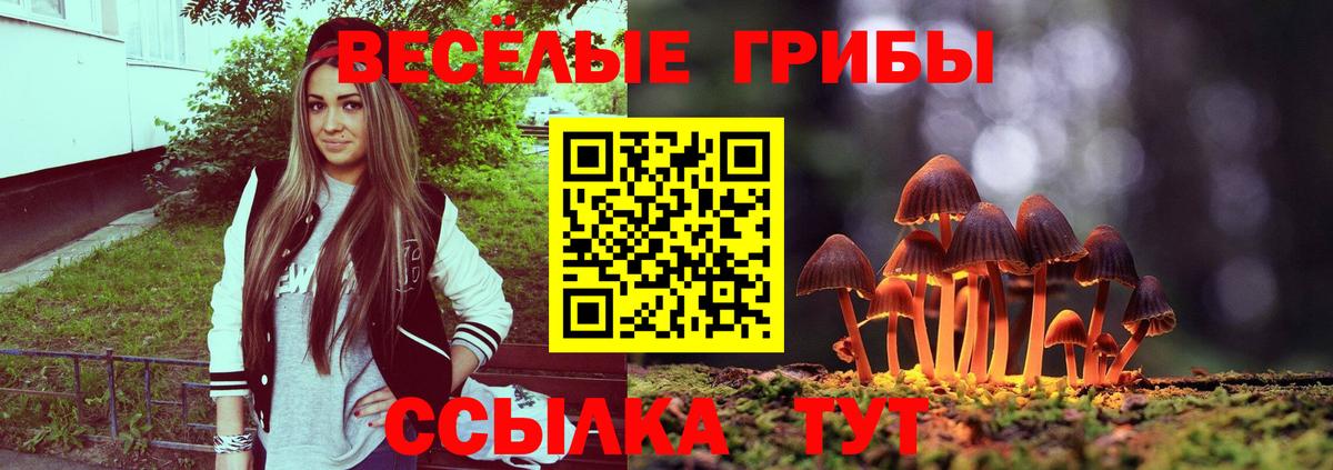 Обнинск  Галлюциногенные грибы MAGIC MUSHROOMS  Вход с VPN 